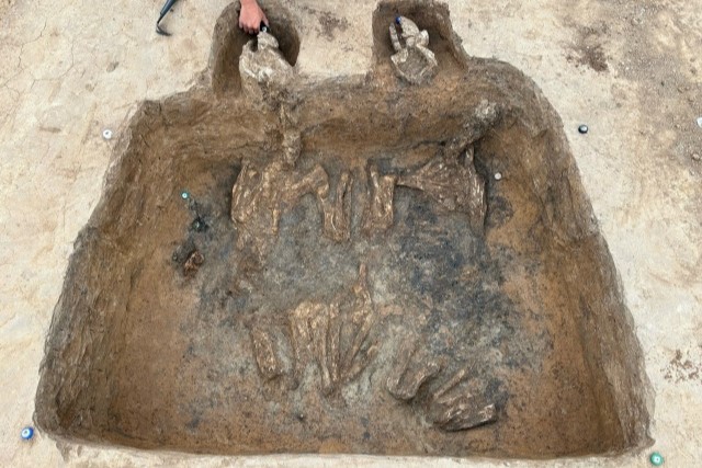 2026-08-03-07.jpg