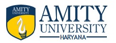 Университет Амити