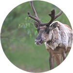 Изучение_и_охрана_биоразнообразия