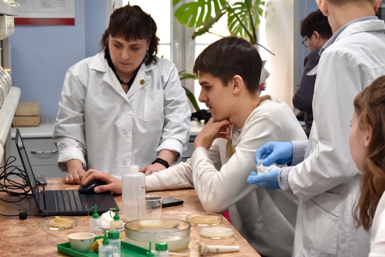 Итоги проектной олимпиады по химии для школьников подвели в Мининском университете