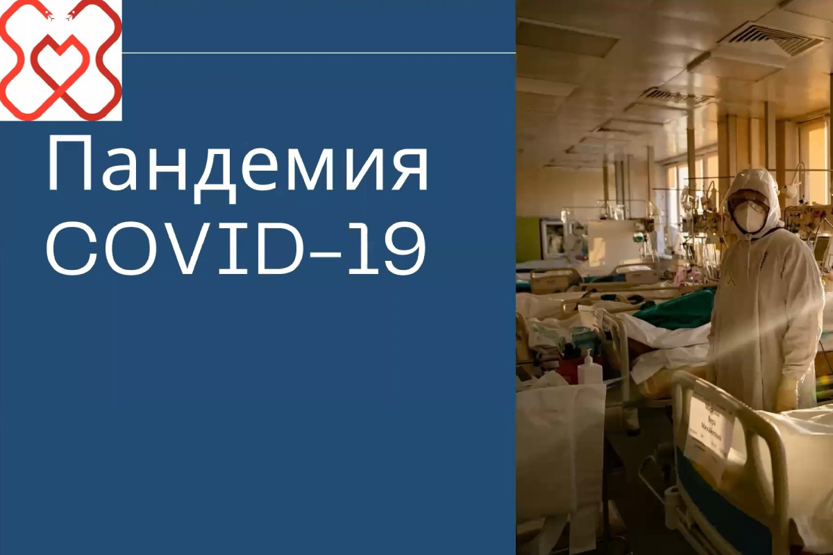 Стартовал совместный проект Мининского университета и ПИМУ  «Студент-студенту» - НГПУ им. К. Минина