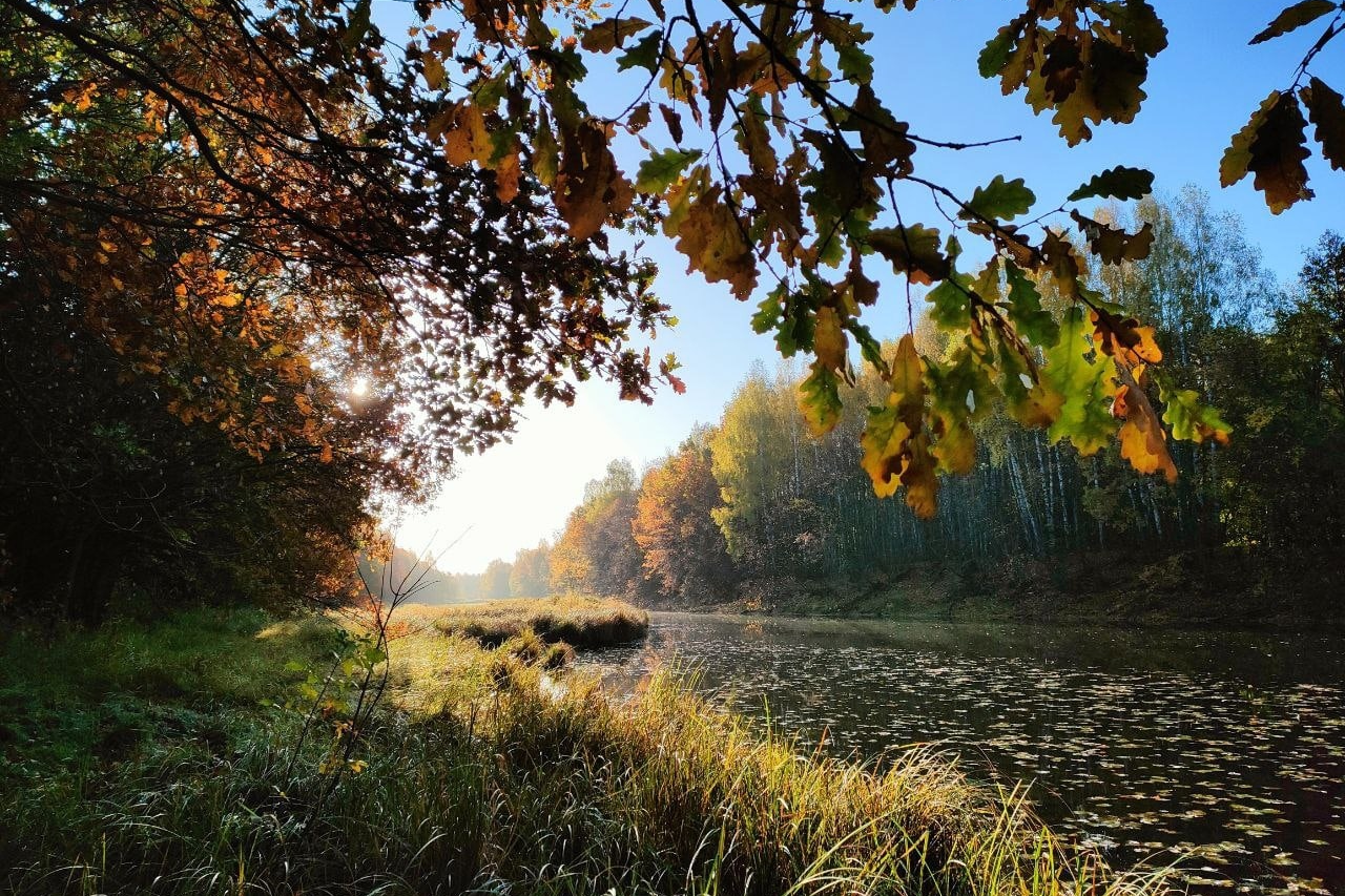 Студенты и преподаватель Мининского университета поделились новыми результатами исследований на территории проектируемого национального парка “Нижегородское заволжье”