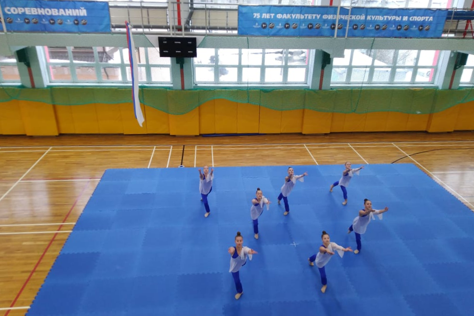 Традиционные соревнования по гимнастике прошли в Мининском университете