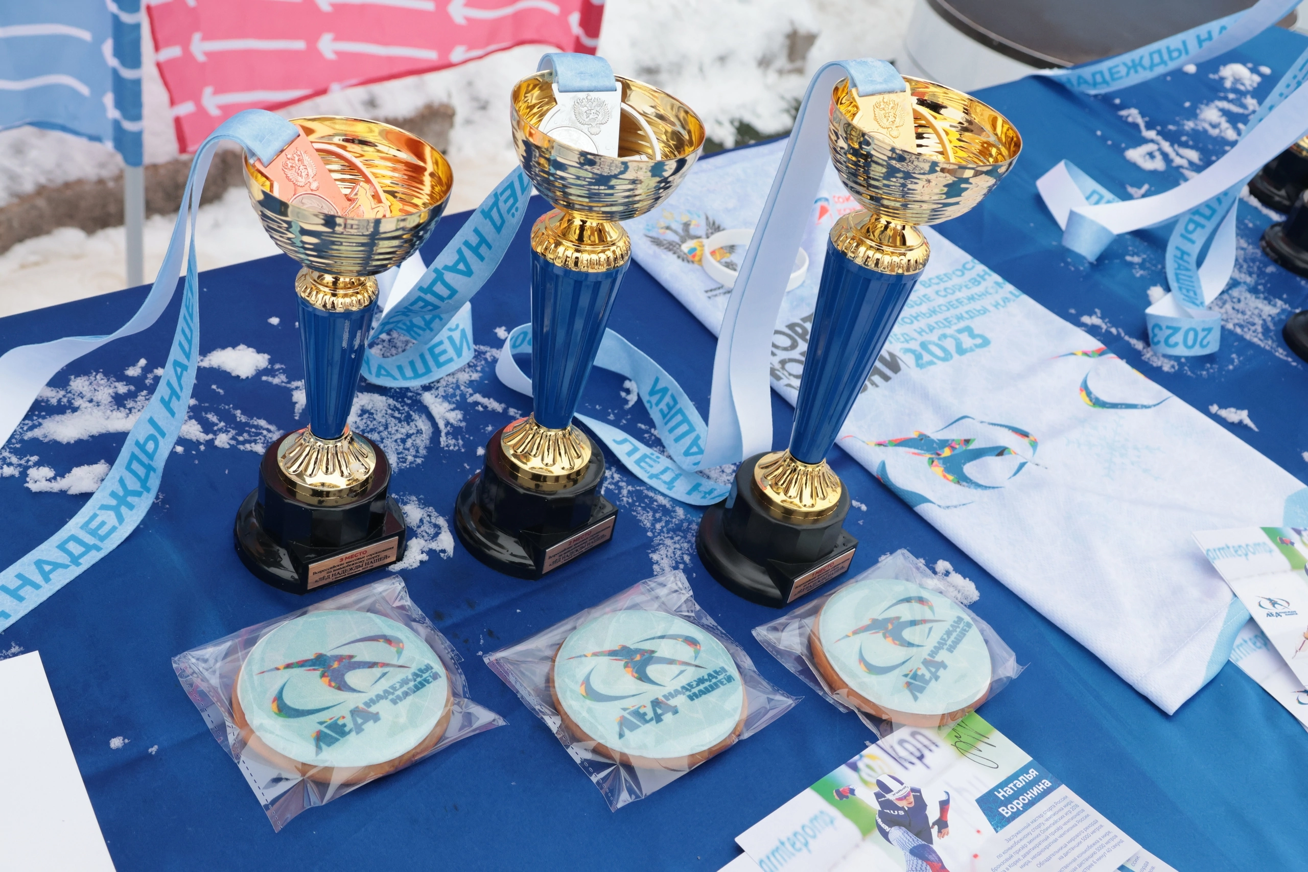 Победителями и призерами массовых соревнований «Лед надежды нашей» по конькобежному спорту стали спортсмены Мининского университета