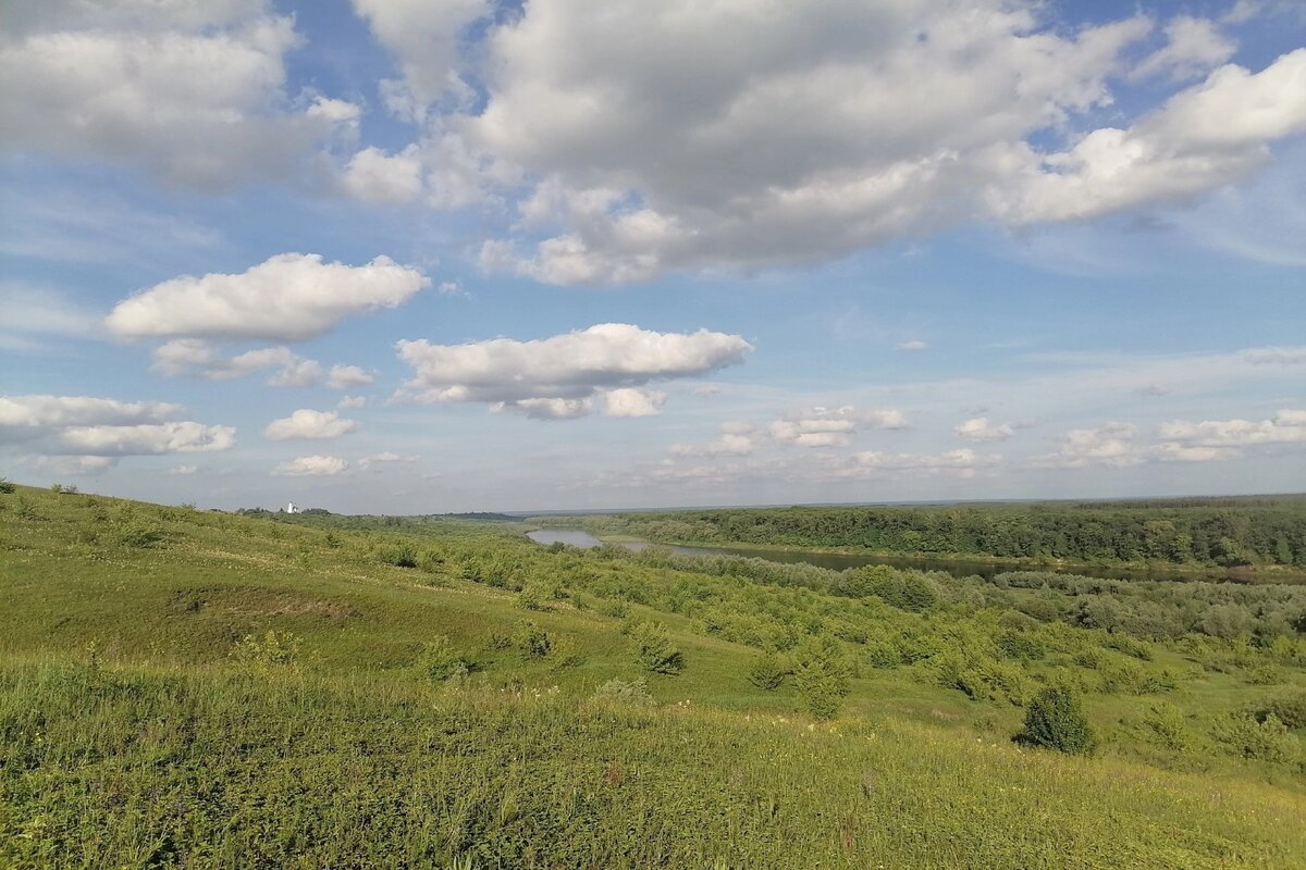 Преподаватели и студенты Мининского университета провели геоботанические исследования лесостепи Нижегородской области и Республики Чувашия