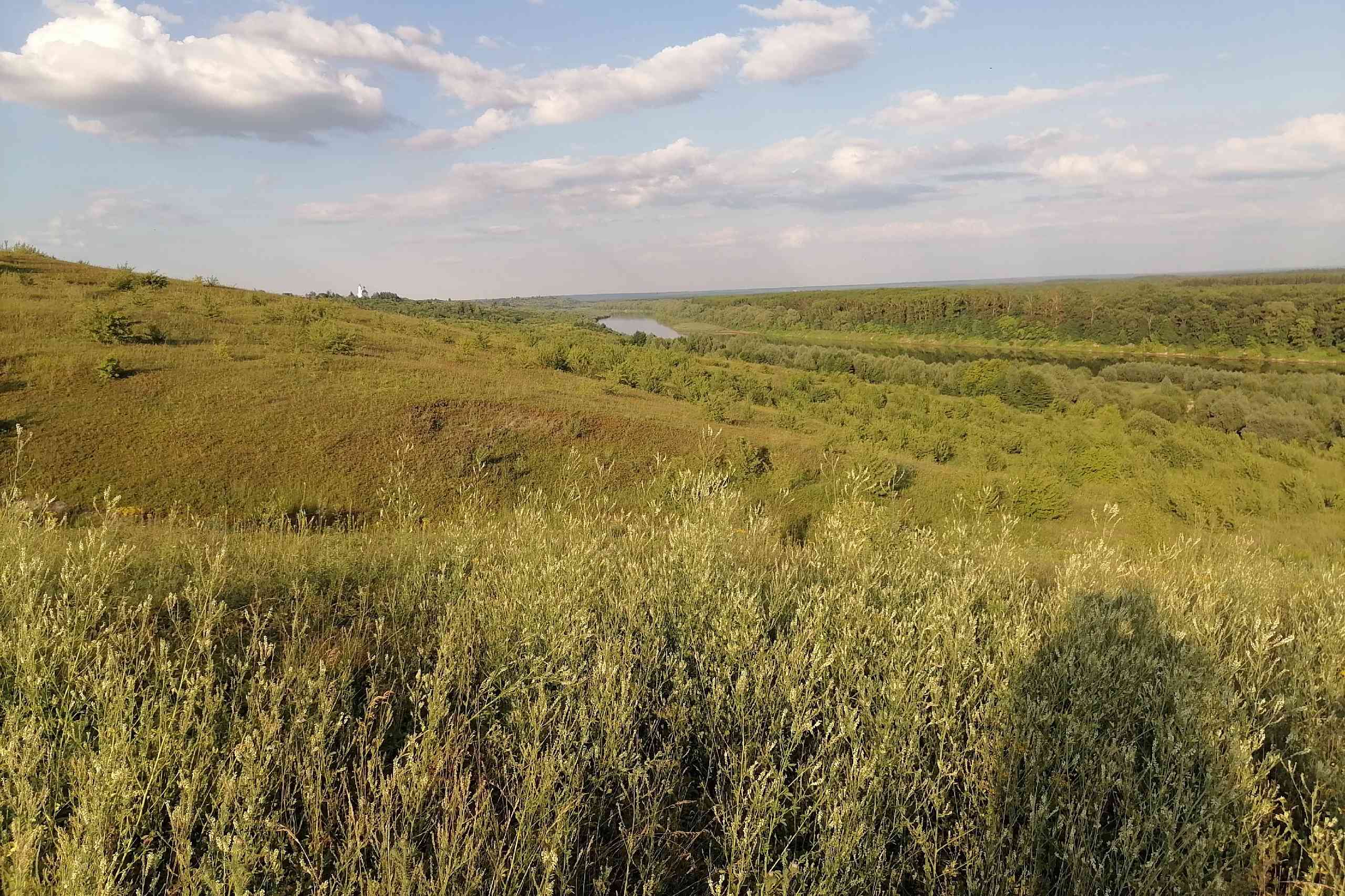 Географы Мининского проводят геоботанические исследования лесостепи Нижегородской области и Республики Чувашия