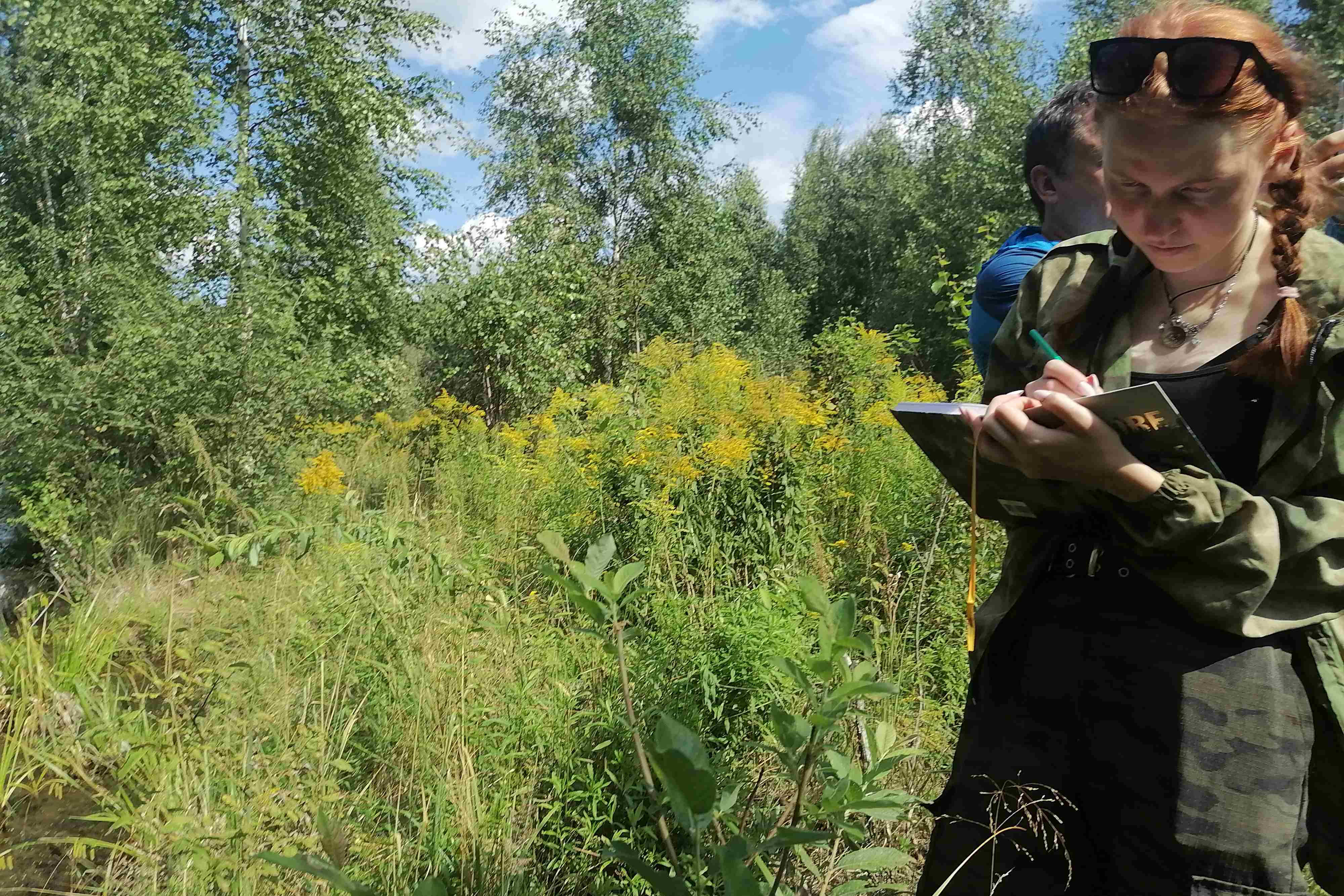Оценку современного состояния болота Камское провели нижегородские географы