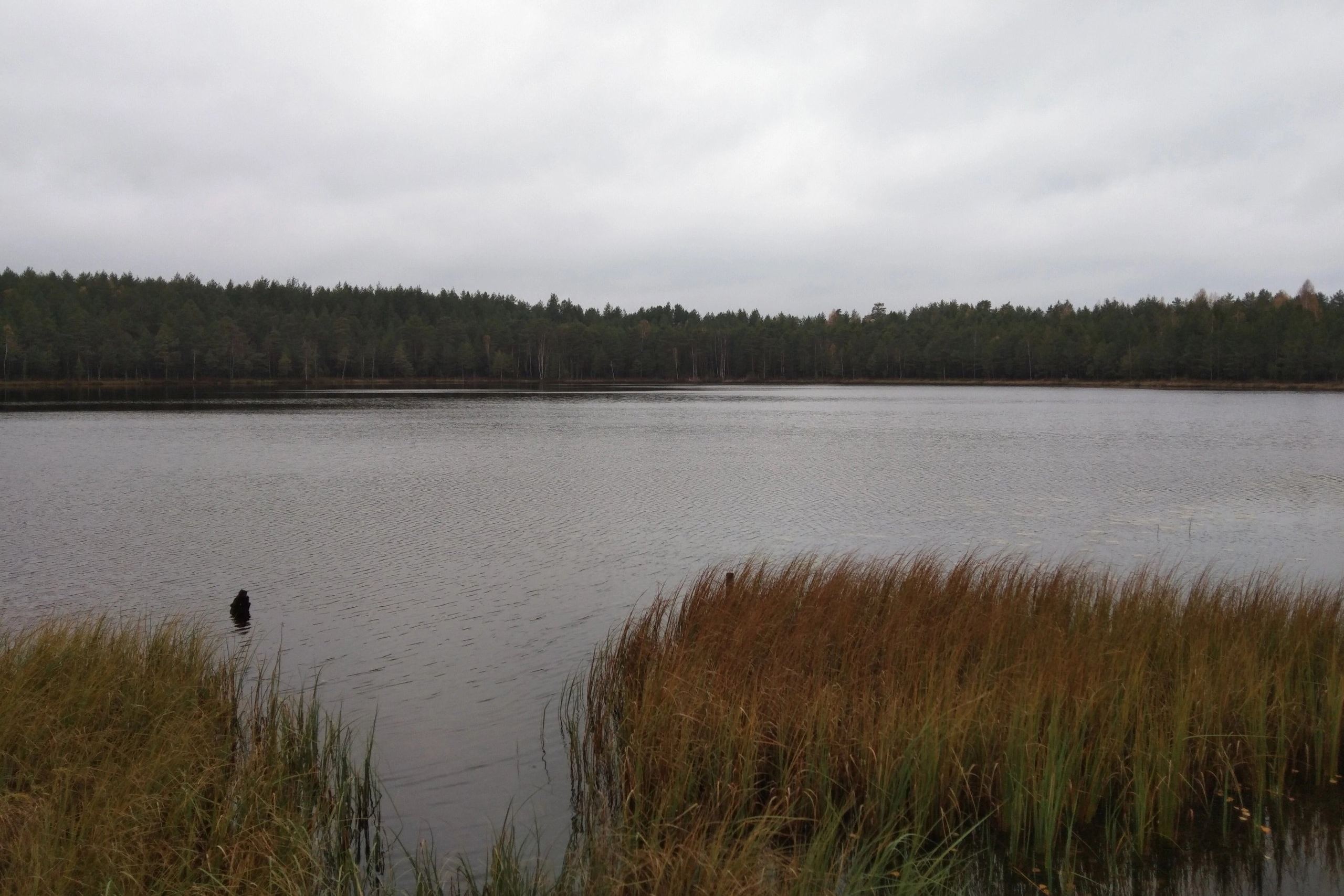Географы Мининского установили происхождение озер Боровское и Жарёнское в Воскресенском районе