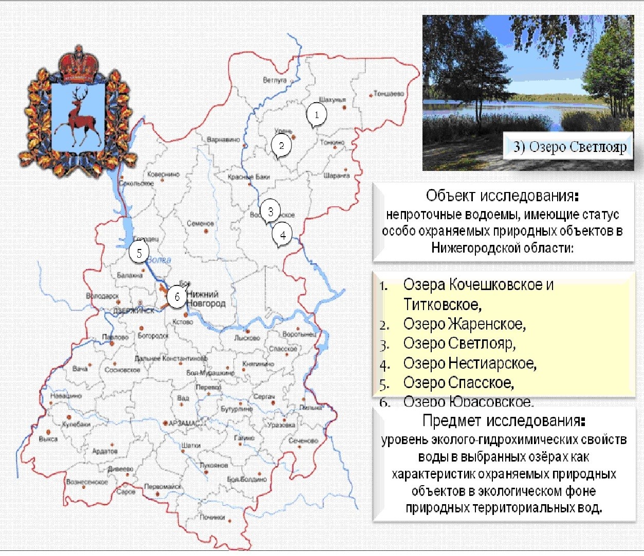 маркова дс защита