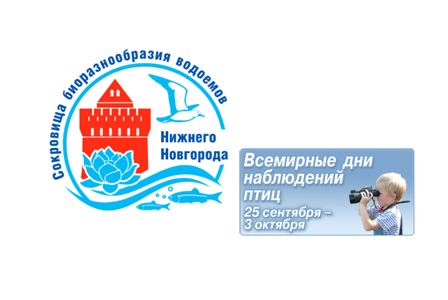 Педагоги и школьники Нижнего Новгорода познакомились с известными проектами гражданской науки