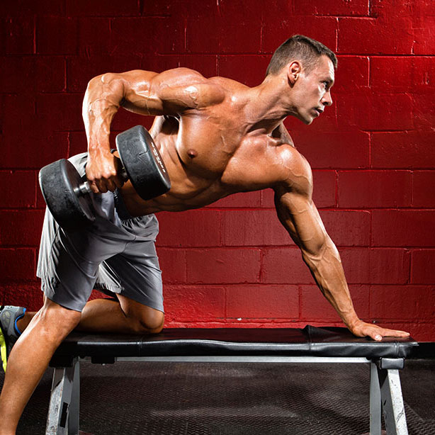 new muscle workout plan