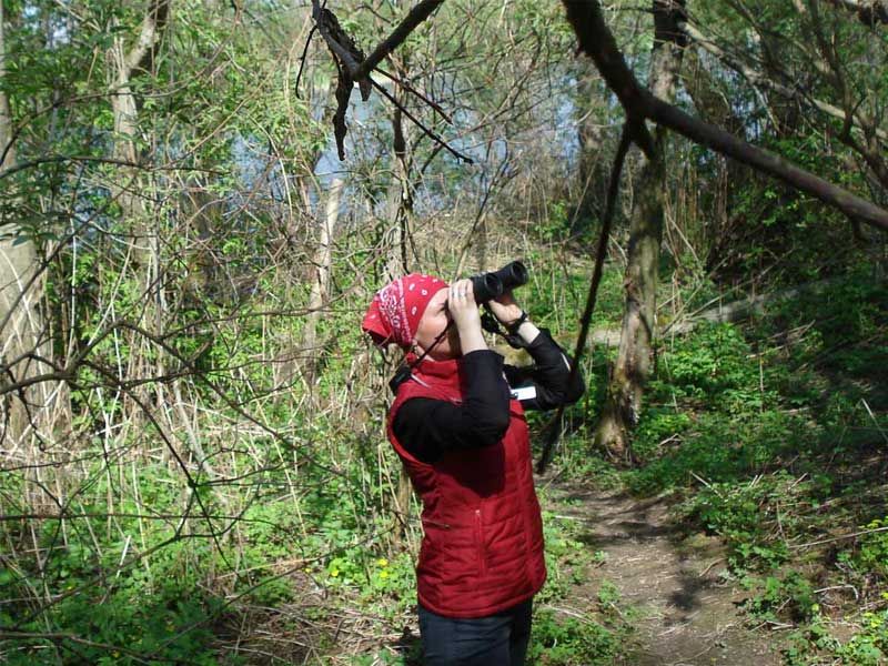 Научная стажировка для будущих учителей-биологов состоялась на базе ИПЭЭ РАН (г. Москва)