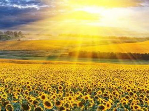 Противодействие терроризму