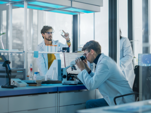 «Национальные проекты России»