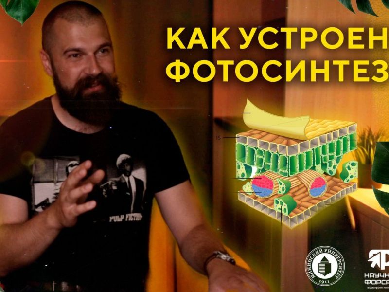 Что общего между фотосинтезом и топливной промышленностью?
