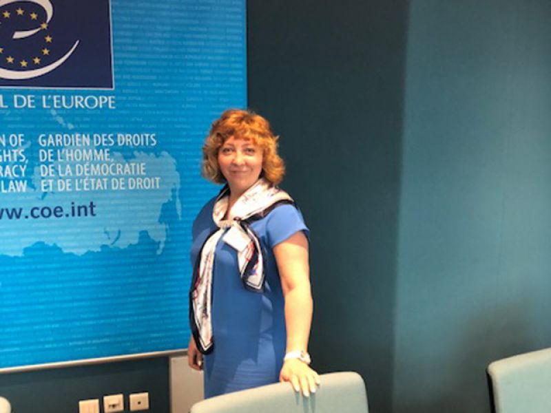 Заведующий кафедрой Мининского университета приняла участие в конференции при Совете Европы в г. Страсбург