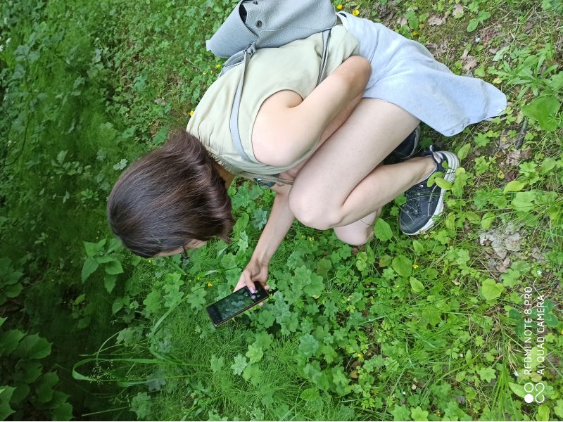 Мининский университет организовал вебинар «Технологии гражданской науки в исследовательской деятельности школьников»