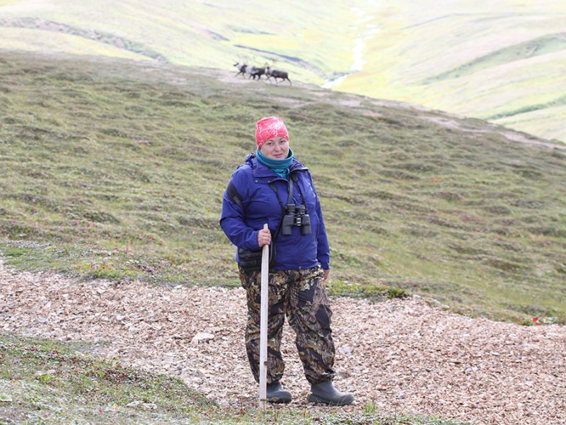 Магистрантка ФЕМиКН Анна Мартынова успешно завершила научно-исследовательскую работу в рамках грантовой деятельности на тему «Исследование экологии северного оленя острова Беринга».