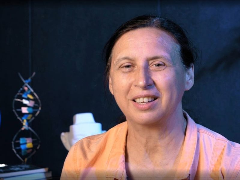 Биолог рассказала об опасных насекомых и редких бабочках нижегородских лесов