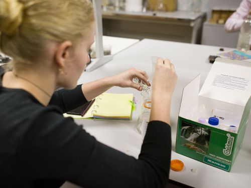 Научно-исследовательские и образовательные проекты