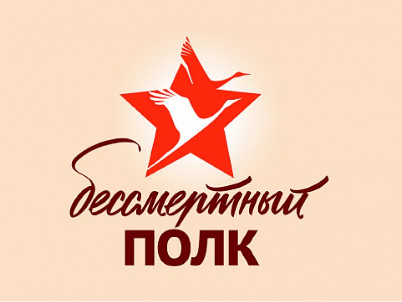 160 студентов Мининского университета вошли в состав волонтерского корпуса Всероссийской акции